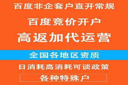 百度推广公司案例解析：如何利用大数据优化营销策略